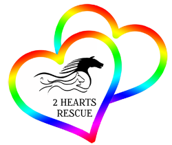 Why 2 Hearts Rescue?